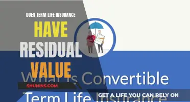 Term Life Insurance: Residual Value and Its Benefits