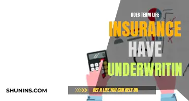 Life Insurance Underwriting: What's the Deal with Term Policies?