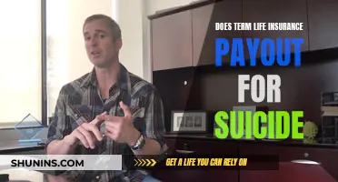 Life Insurance and Suicide: Understanding Payout Scenarios