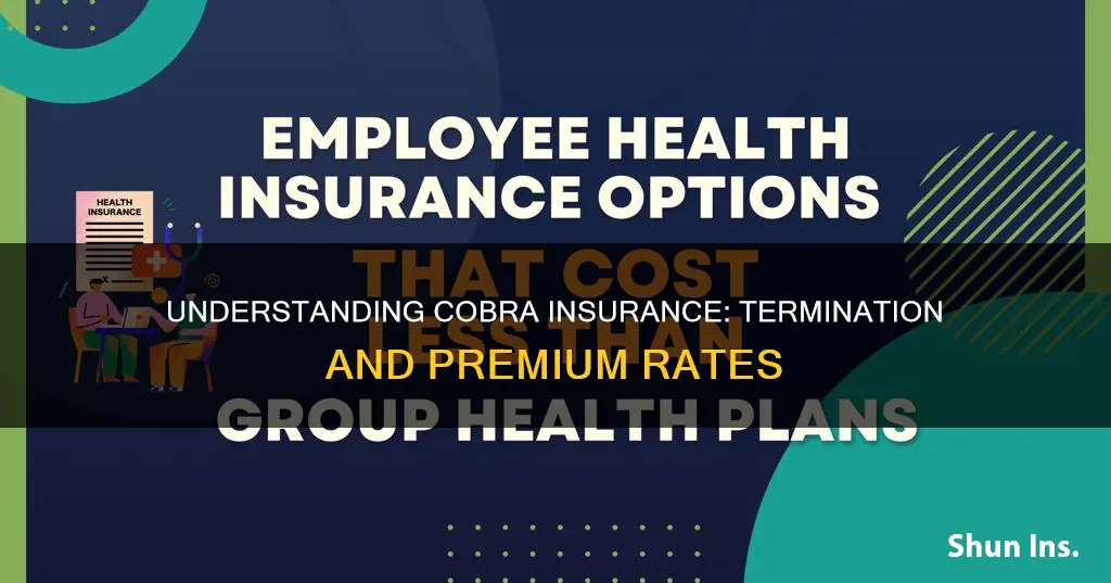 does termination make cobra insurance higher