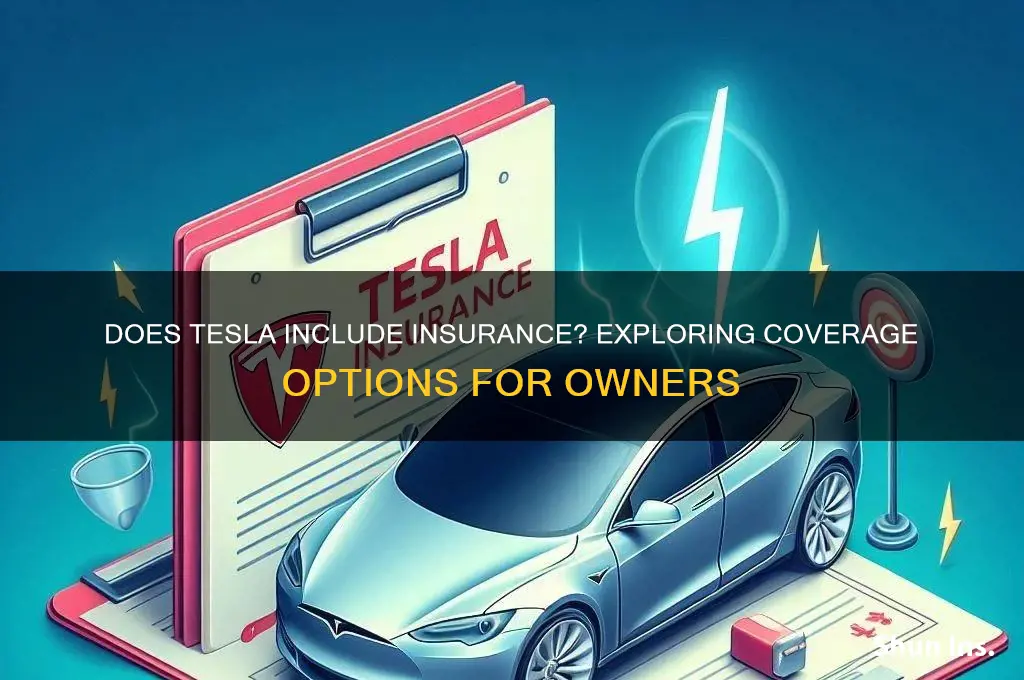 does tesla come with insurance