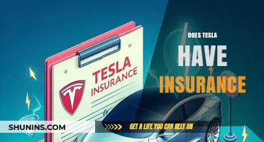 Does Tesla Offer Insurance? Exploring Coverage Options for Owners