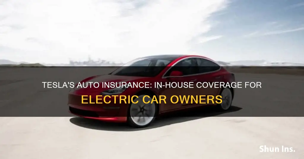 does tesla have its own auto insurance