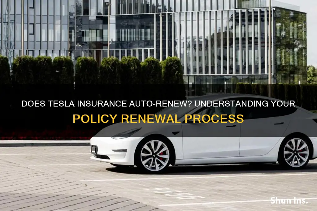 does tesla insurance automatically renew