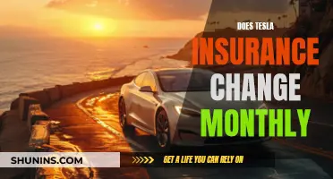 The Dynamic Nature of Tesla Insurance: Understanding Monthly Adjustments