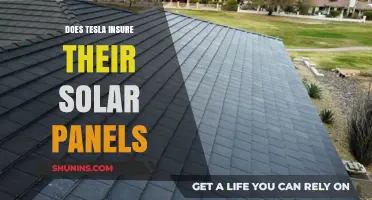 Does Tesla Offer Insurance for Their Solar Panels? What You Need to Know
