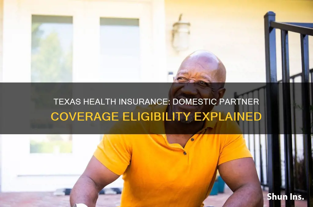 does texas allow domestic partners on health insurance