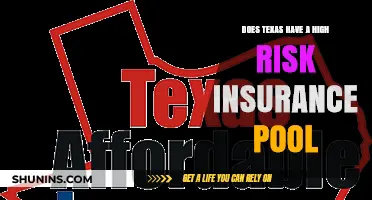 Texas High-Risk Insurance Pool: What You Need to Know
