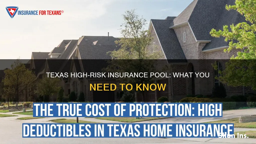 does texas have a high risk insurance pool