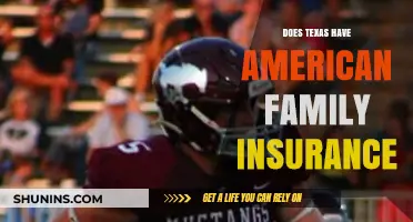 Does Texas Offer American Family Insurance? A Comprehensive Guide