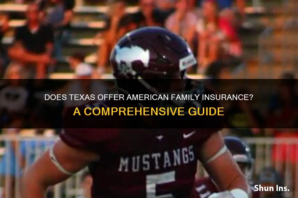 does texas have american family insurance