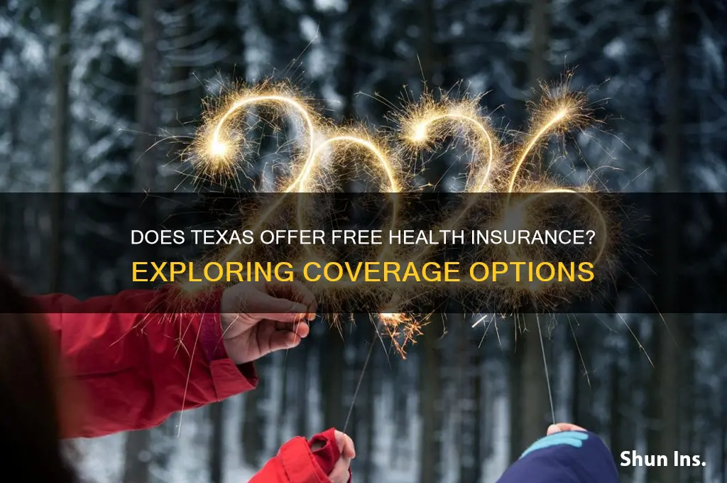 does texas have free health insurance