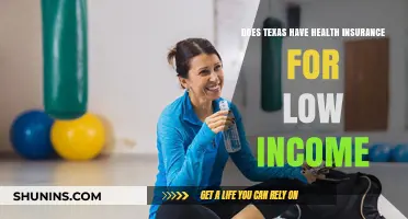 Texas Health Insurance Options for Low-Income Families: What You Need to Know