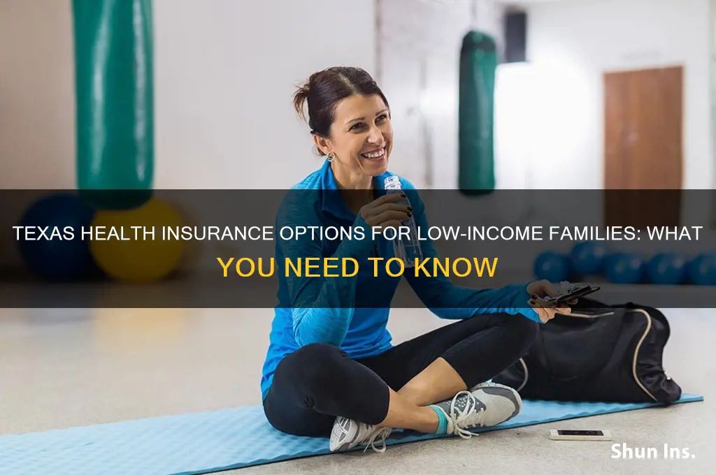 does texas have health insurance for low income
