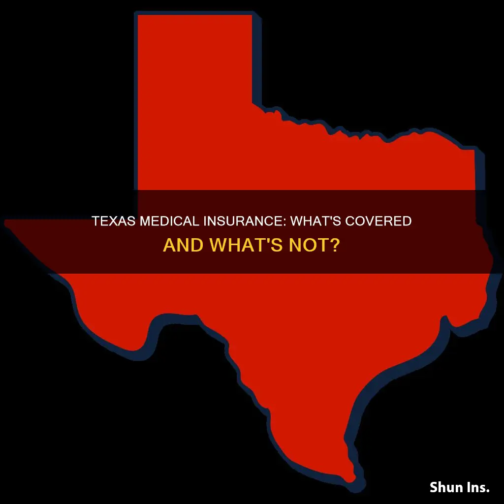 does texas have medical insurance