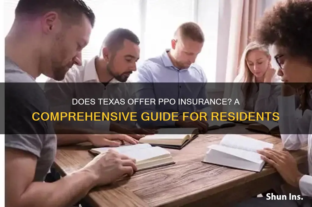 does texas have ppo insurance