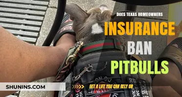 Home Insurance and Pitbulls: Banned in Texas?