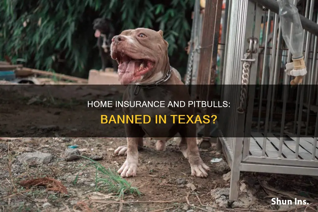does texas homeowners insurance ban pitbulls