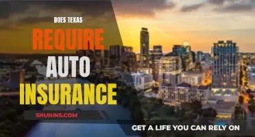 Texas Auto Insurance: What's Required?