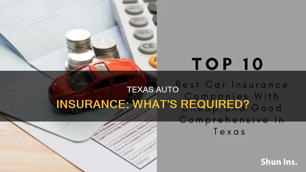 does texas require auto insurance