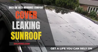 Auto Insurance and Leaking Sunroofs: What's Covered?