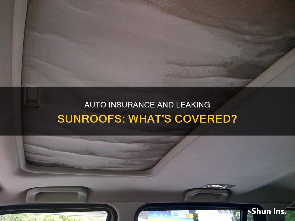 does the auto insurance company cover leaking sunroof