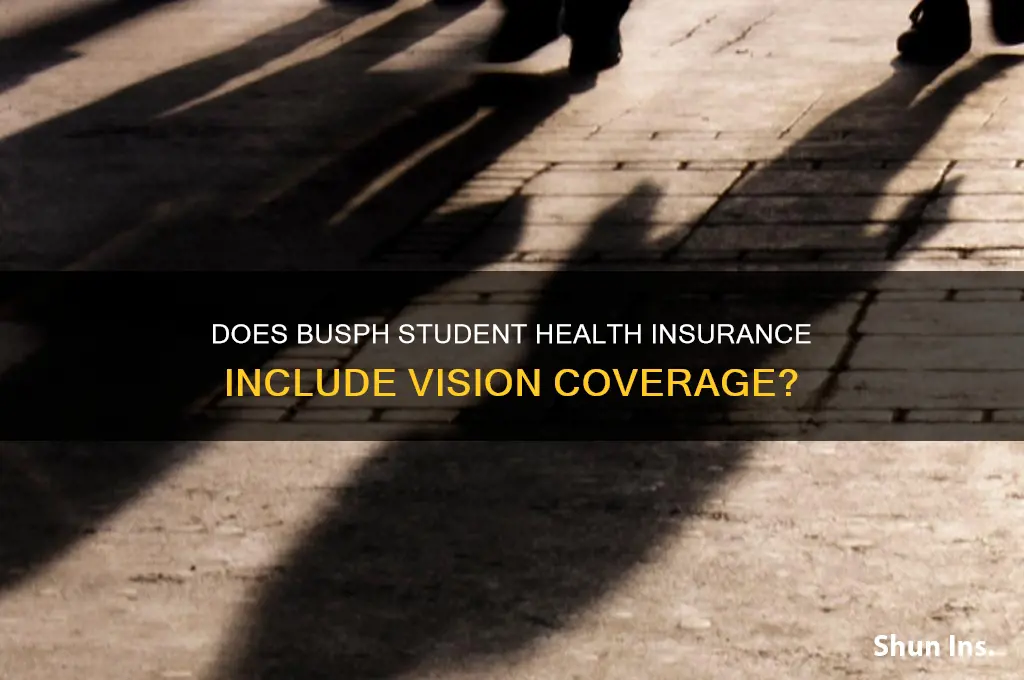 does the busph student health insurance cover vision