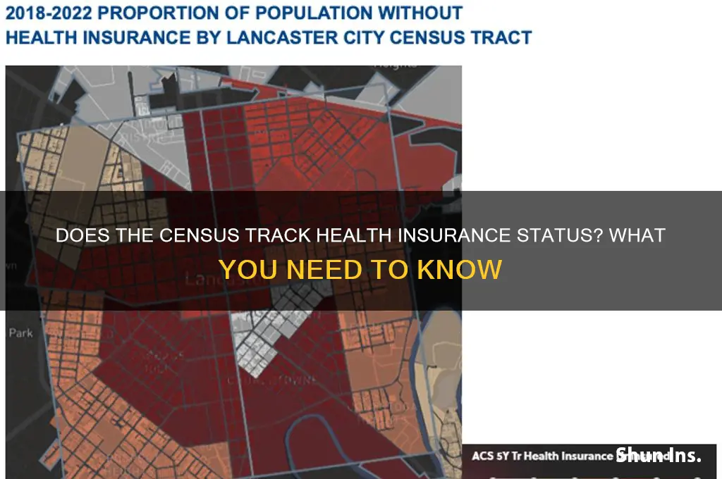 does the census give health insurance status