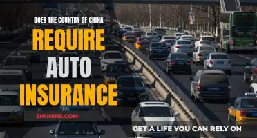 Auto Insurance in China: What You Need to Know