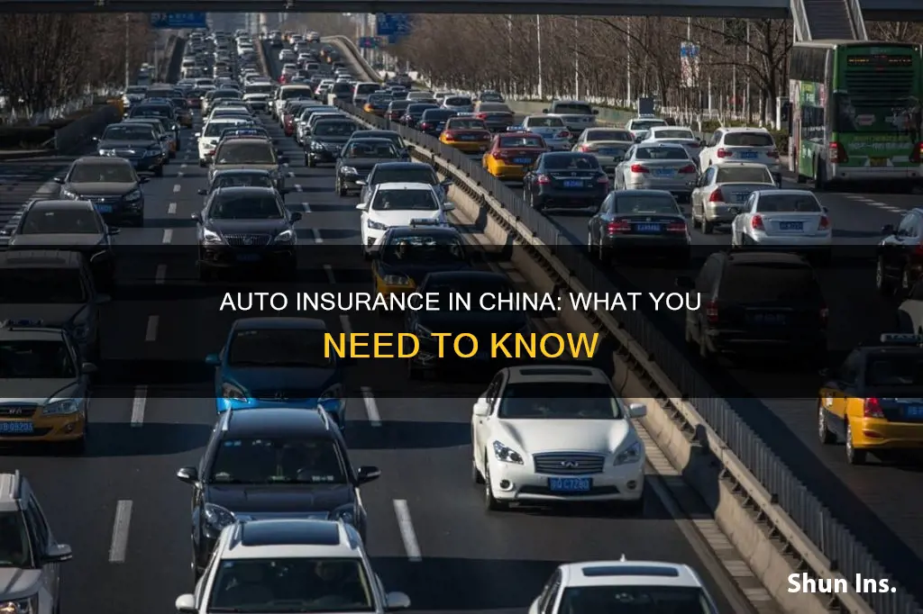 does the country of china require auto insurance