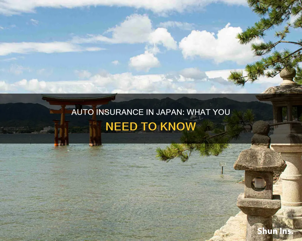 does the country of japan require auto insurance