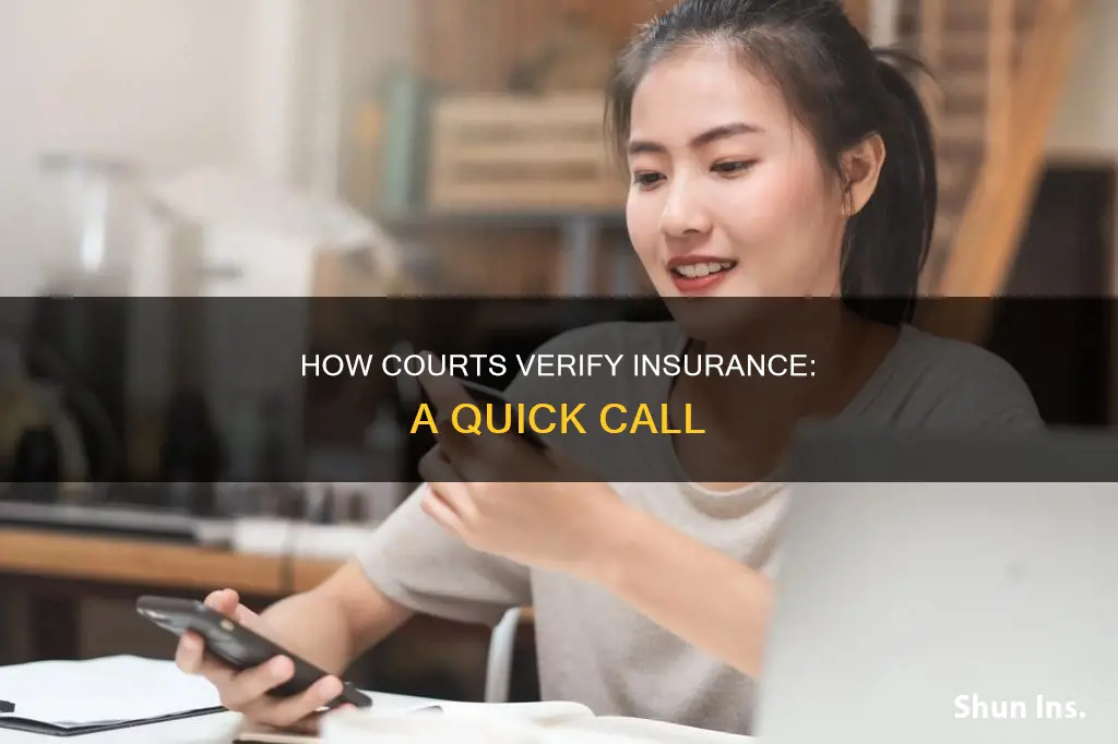 does the court call to verify proof of insurance