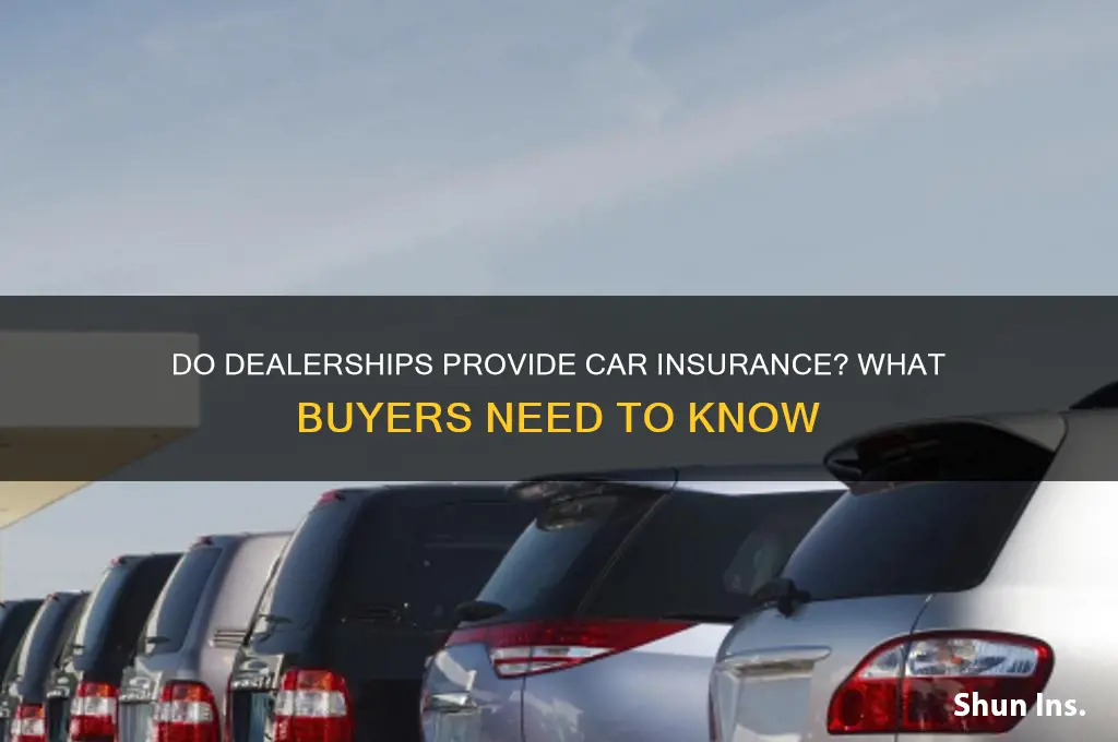 does the dealership give you insurance