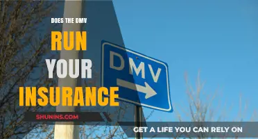 Does the DMV Verify Your Insurance? What You Need to Know