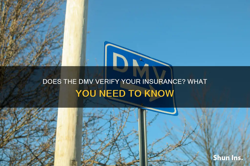 does the dmv run your insurance