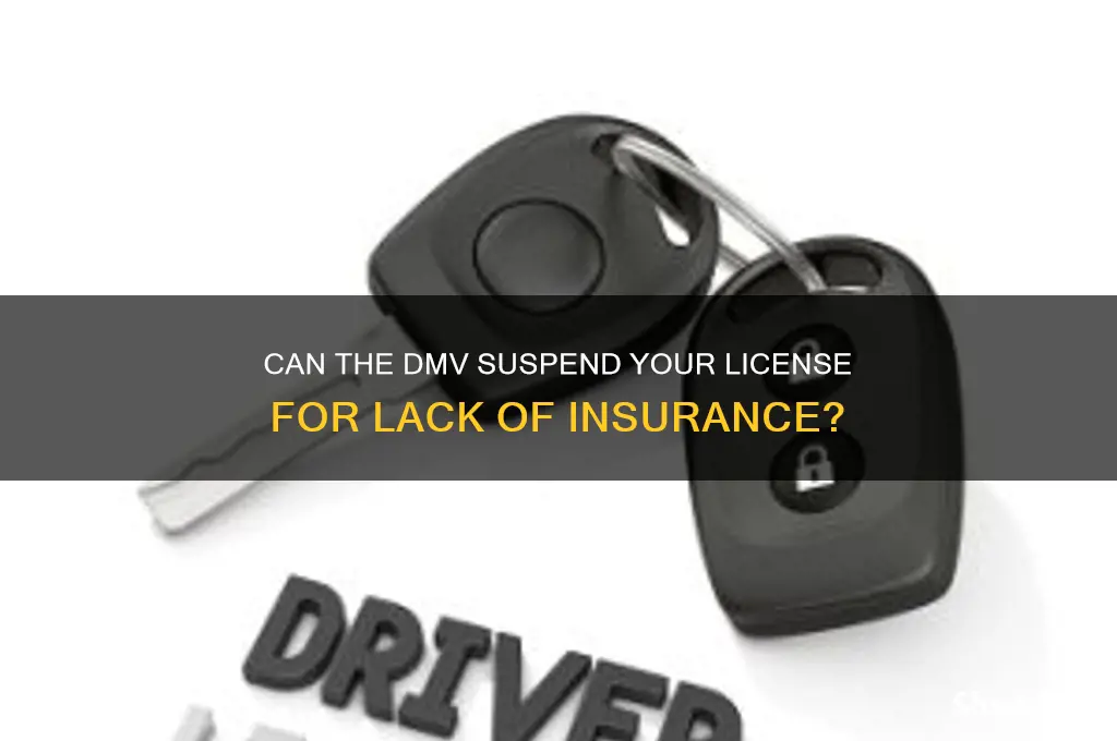 does the dmv suspend locense if you dont have insurance