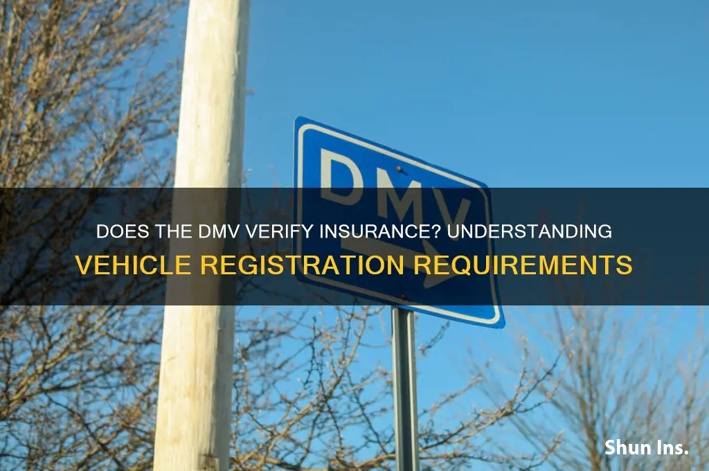 does the dmv verify insurance