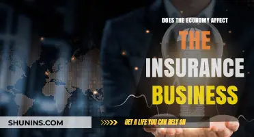 Insurance Industry: Impact of Economic Fluctuations