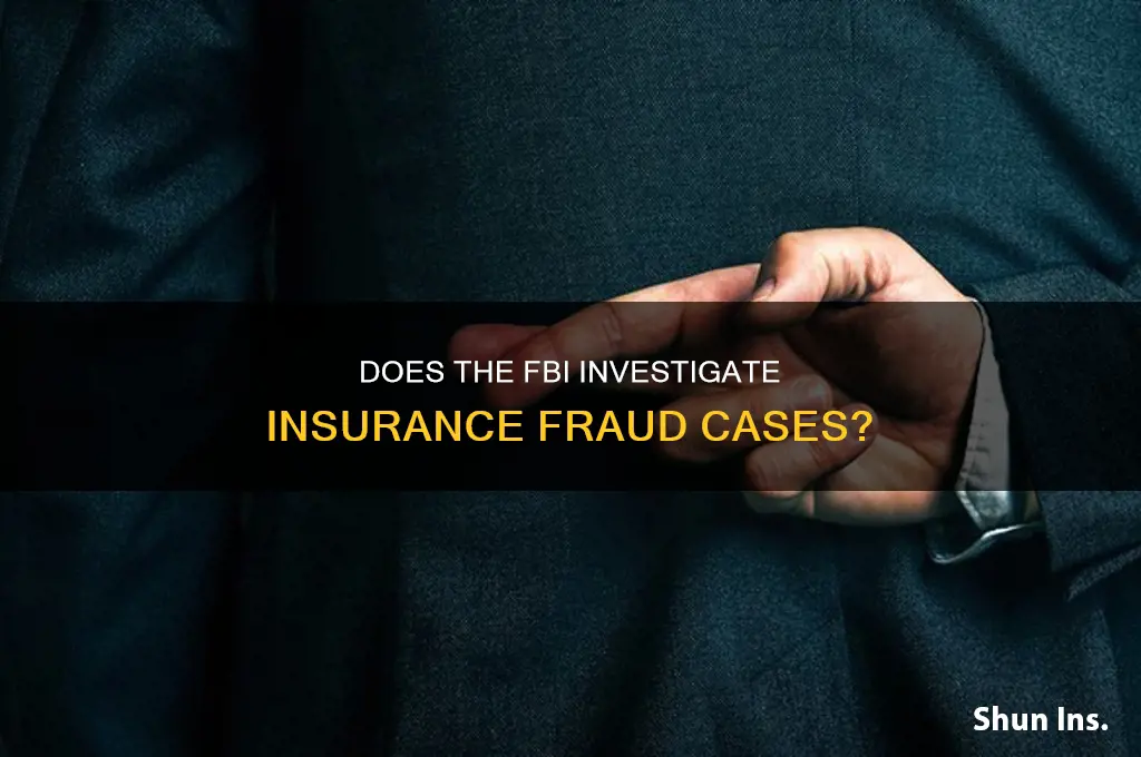 does the fbi handle insurance fraud