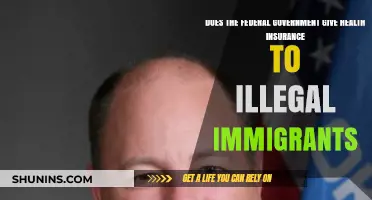 Does the Federal Government Provide Health Insurance to Illegal Immigrants?