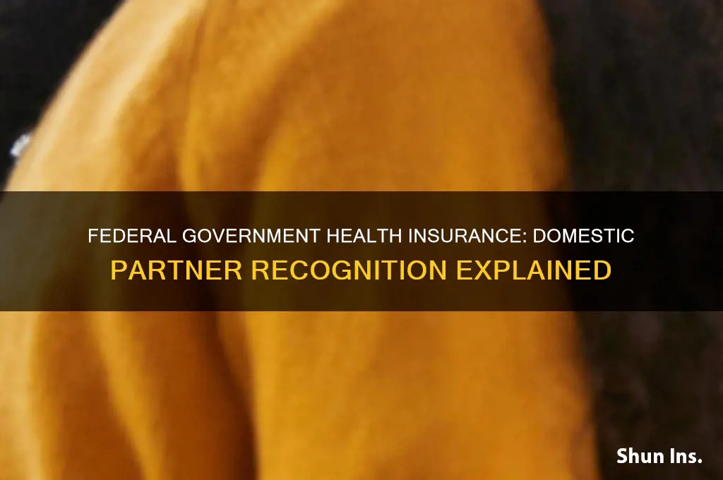 does the federal government recognize domestic partners for health insurance