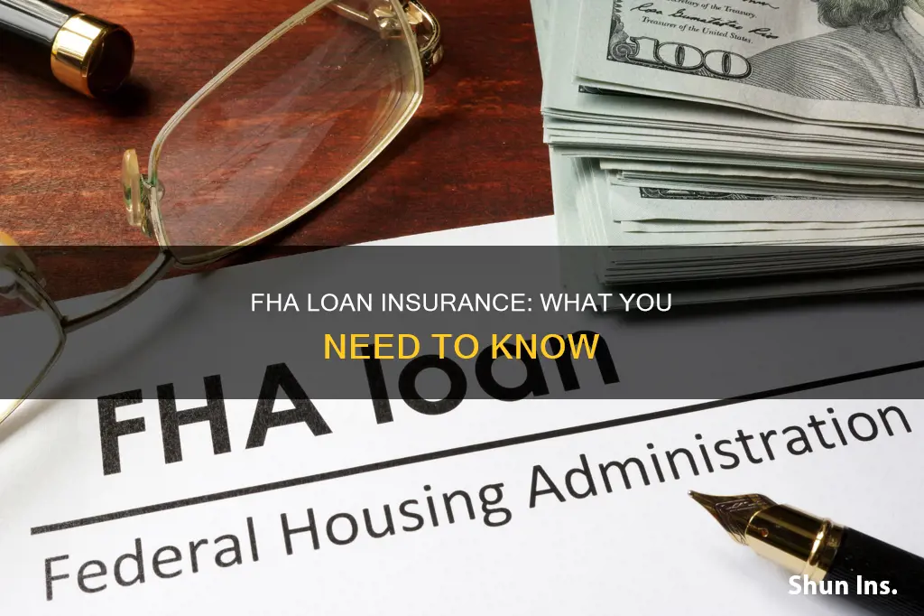 does the federal housing administration insure loans