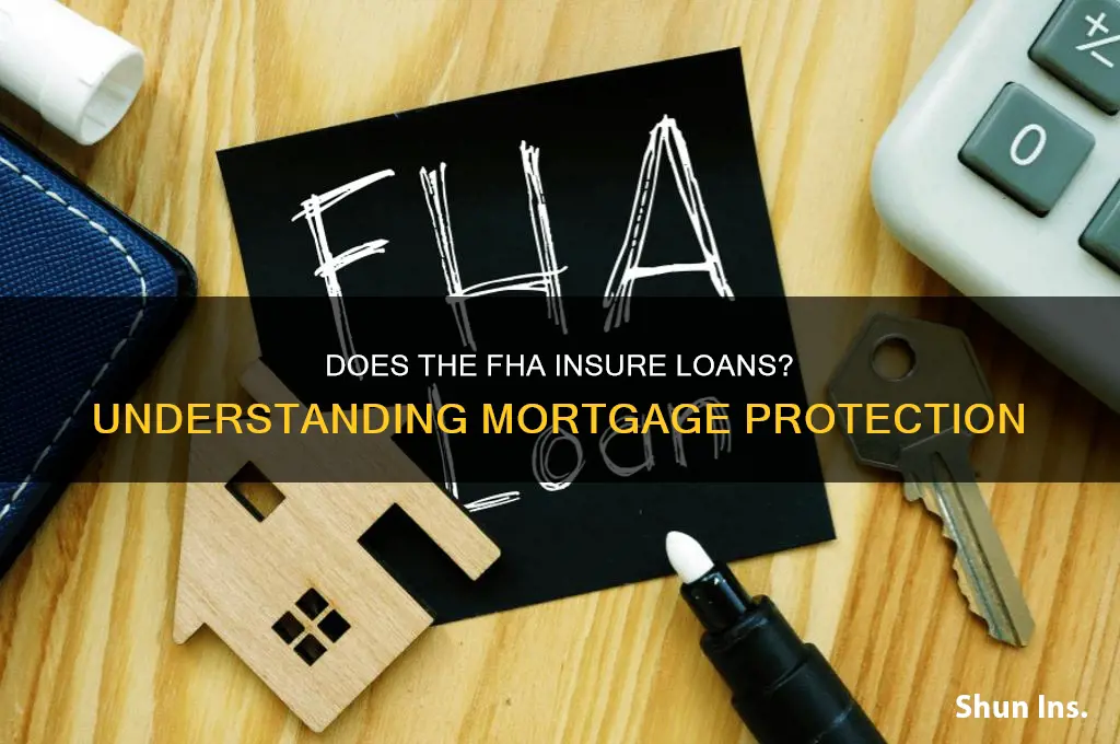 does the fha insure loans