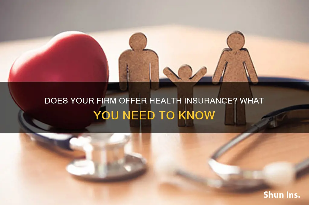 does the firm provide the health insurance