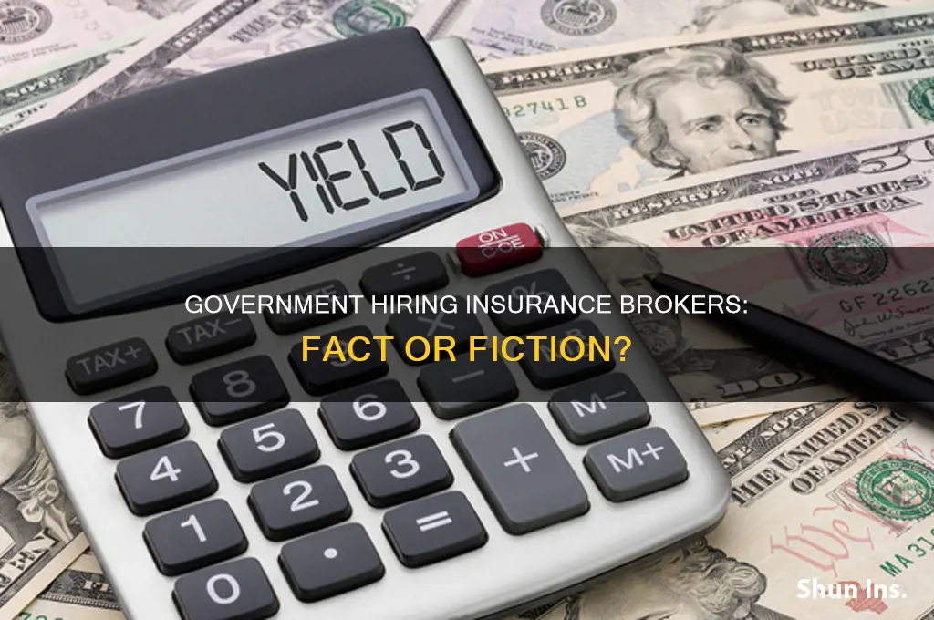 does the government hire insurance broker