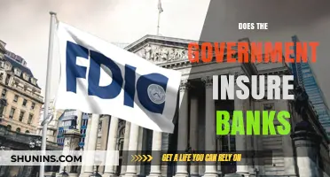 How the Government Insures Banks and Why