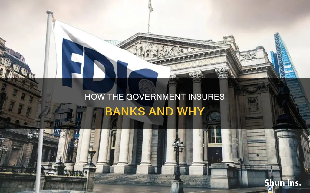 does the government insure banks