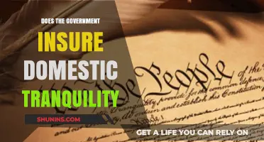 Does the Government Ensure Domestic Tranquility? Exploring Policies and Realities