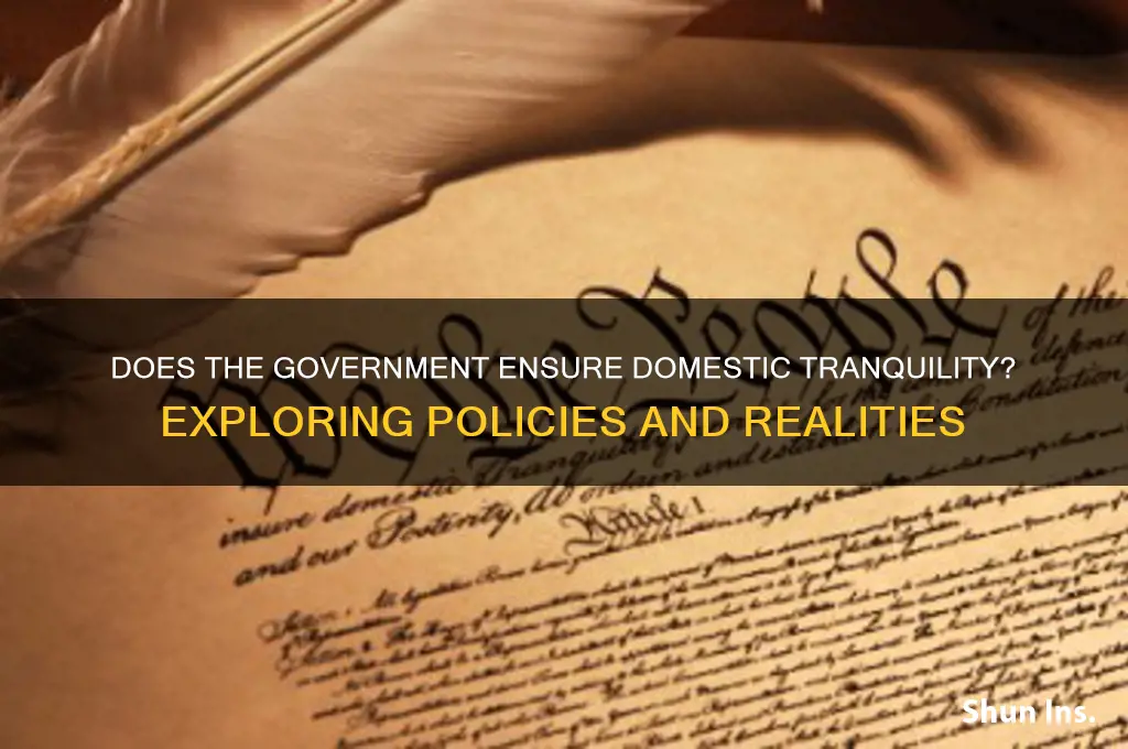does the government insure domestic tranquility