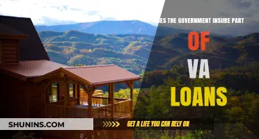 Does the Government Insure Part of VA Loans? Explained